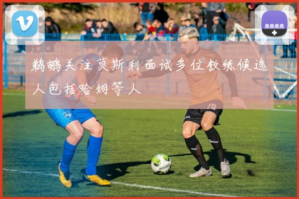 鹈鹕关注莫斯利面试多位教练候选人包括哈姆等人