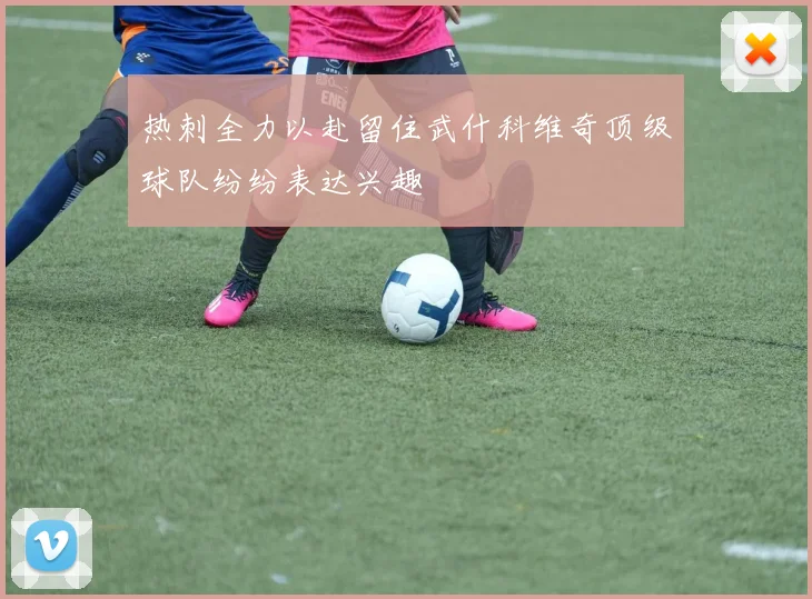 热刺全力以赴留住武什科维奇顶级球队纷纷表达兴趣